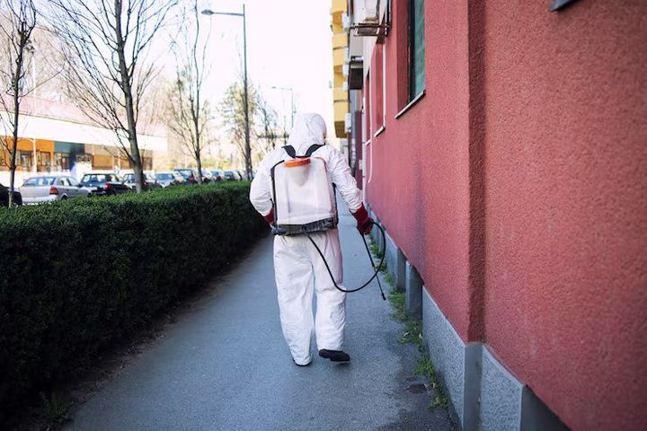 Pest Removal Overview: Learn About Pest Signs, Habits, and Prevention
